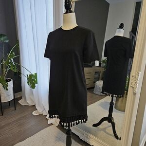 ZARA tassle dress (xs)